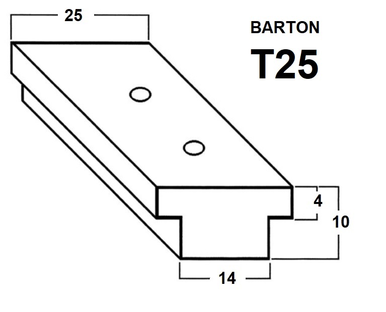 B2-T25